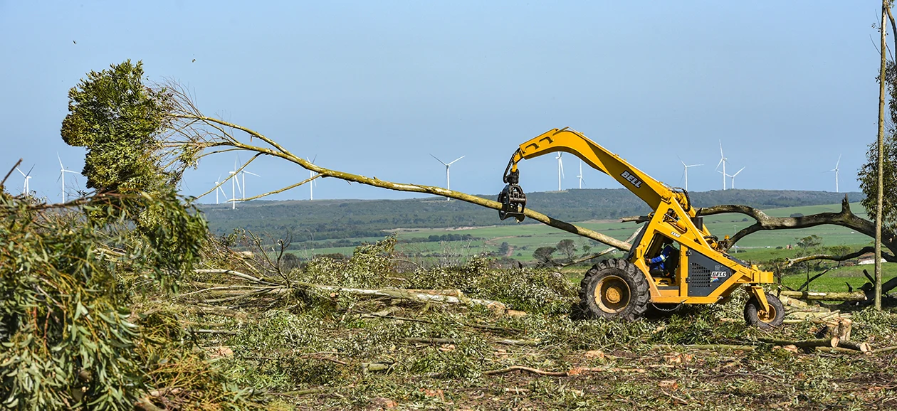 Bell Loggers support renewable energy creation at Coega Biomass Centre