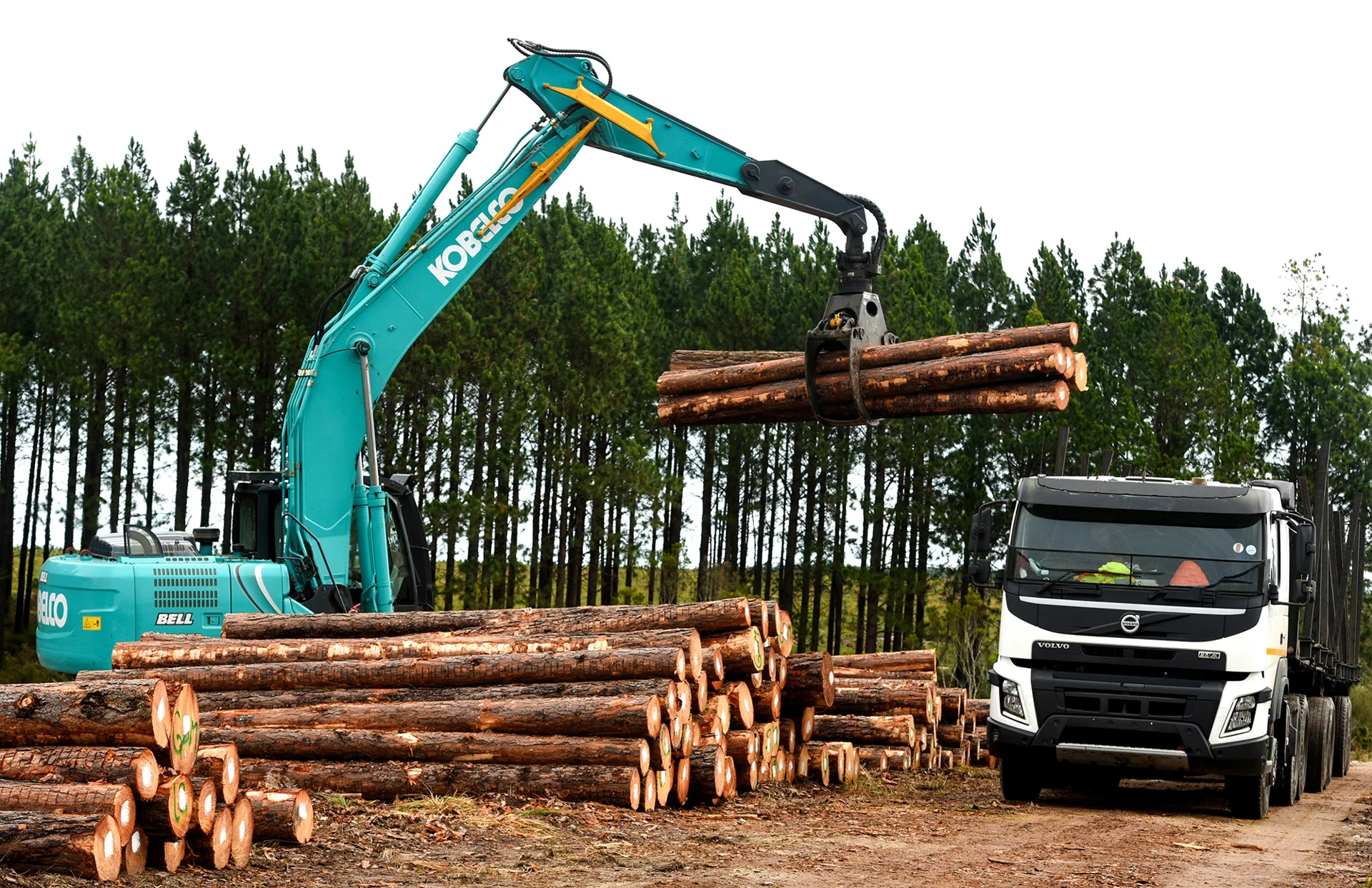 Kobelco SK220XD-10 solves ZD Stander’s double handling challenge